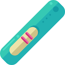 Pregnancy Test